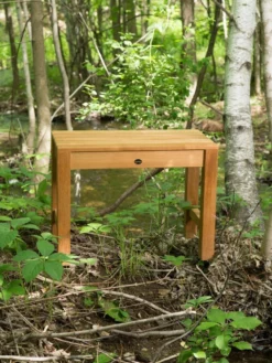 Coach 24 Inch Teak Shower Bench -VINTAGE TUB Store ben517 08 ztoiczgn6v6dj1eb