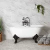 Napoleon Cast Iron Double Ended Clawfoot Tub - Monarch Feet -VINTAGE TUB Store rm napoleon 7