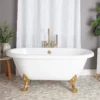 Juniper Acrylic Double Ended Clawfoot Tub - No Faucet Drillings - Lion Paw Feet -VINTAGE TUB Store rma60de0wlppb life front